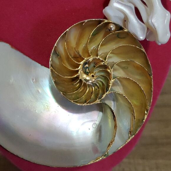 Vintage Huge Nautlius Pearly Shell Strain Statement Necklace Trim In Gold - Picture 6 of 11